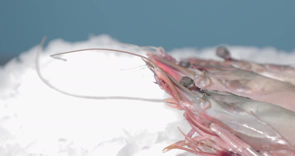 Frozen Shrimp On Ice At A Seafood Market. - close up slider, slow motion