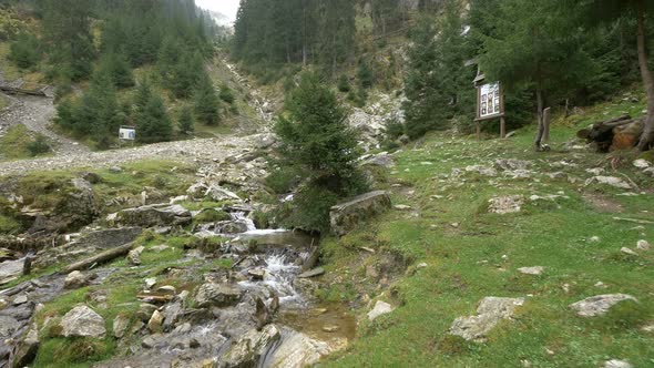 Small Waterfalls in A River