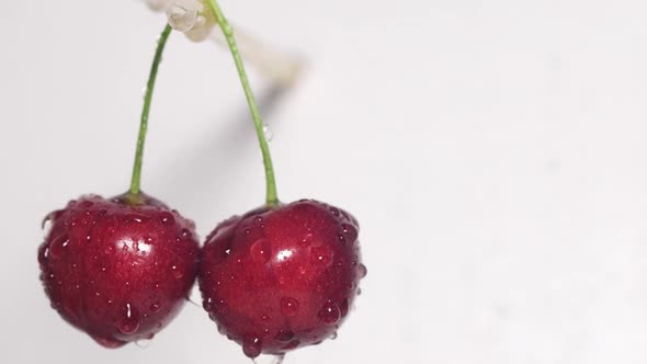 Two Cherry Berries in Water Drops on a White Background
