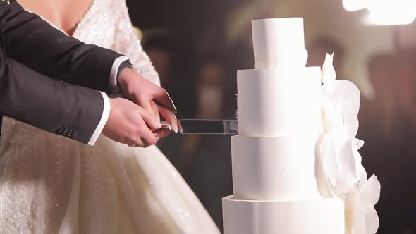 Bride and Groom Cut the Wedding Cake