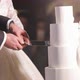 Bride and Groom Cut the Wedding Cake - VideoHive Item for Sale