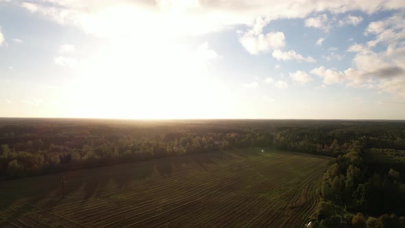 Flight over the field