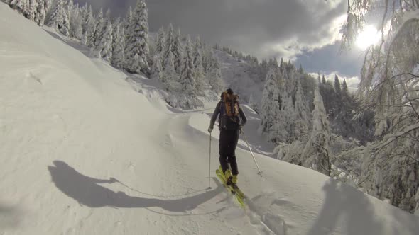 A man goes cross-country skiing in fresh power snow