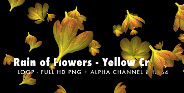 Rain of Flowers - Yellow Crocus - Pack of 2