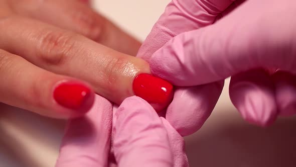 The Hands of the Master in Gloves in Beauty Salon Examine the Nails and Cuticles After Staining Red