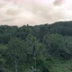 Drone shots of a tropical forest - VideoHive Item for Sale