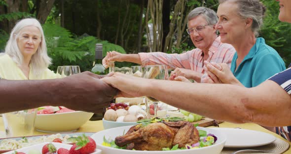 Animation of happy diverse female and male senior friends having lunch in garden