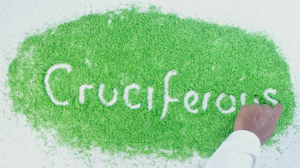 Green Hand Writing Cruciferious