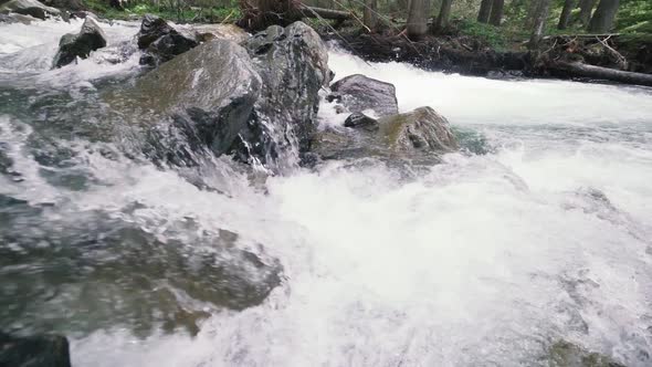 Mountain River with Rocks in Wood Slow Motion Footage Dolomites South Tyrol Italy