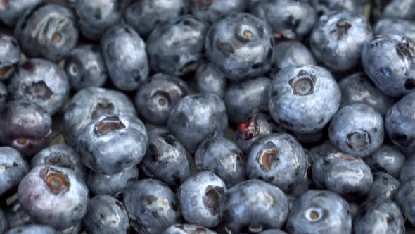 A Lot of Blueberries on the Market Close-up. The Camera Moves.