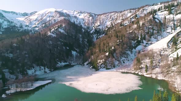 snowy lake woodland