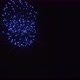 Festive Fireworks in the Night Sky - VideoHive Item for Sale