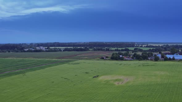 Flight Over the Fields in the Suburbs of St. Petersburg 29