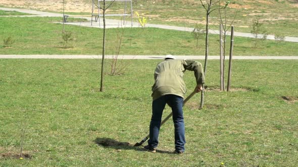 Man Planting Tree in the City