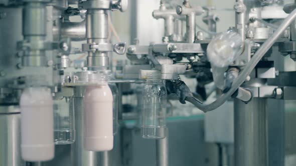 Automated Production Line at a Food Factory. Process of Filling Bottles with Yogurt at a Factory