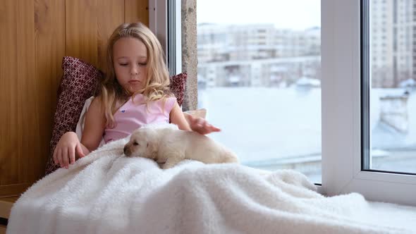 Little Girl Petting Cute Puppy on Windowsill