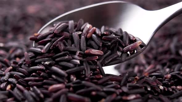 Dry black rice grains. Macro. Falling seeds in slow motion