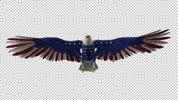 American Eagle - USA Flag - Flying Transition - IV