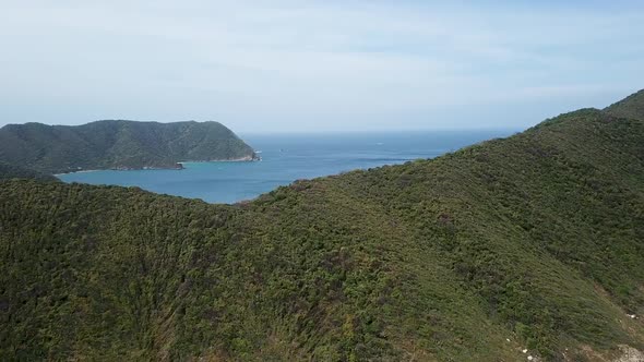 aerial photography forest coast