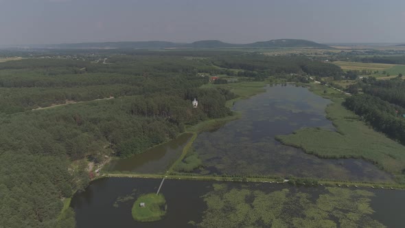 Aerial of a lake and vegetation