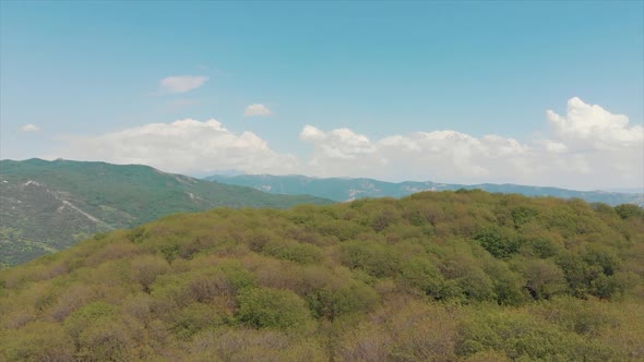 Arial Shoot Wild Walnut Forest in Jalal-abad Province Kyrgyzstan. 