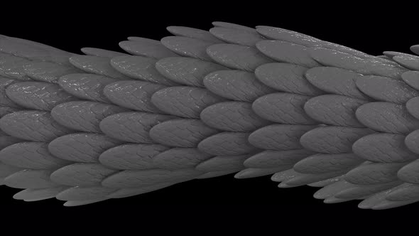 Horizontal 3D tube formed by silver feathers