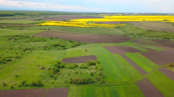 Aerial Drone View of Green Agricultural Field in the Countryside of Ukraine