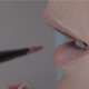 Lips Make Up - VideoHive Item for Sale