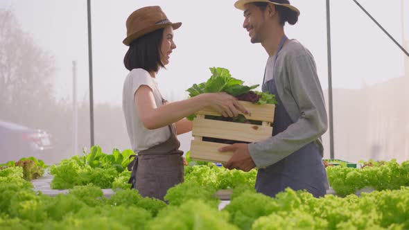 Asian couple farmer owner working in vegetables hydroponic farm with happiness in the farm.