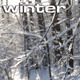 Winter Forest - VideoHive Item for Sale
