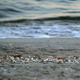 Seaside Waves - VideoHive Item for Sale