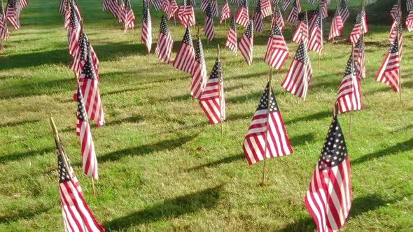 Rows of USA flags on the green lawn. 4th July celebration, Memorial Day.