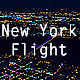 New York Flight - VideoHive Item for Sale