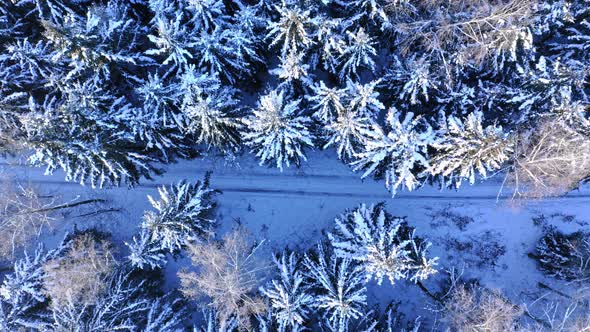 Road in snowy forest. Transportation in winter. Aerial view