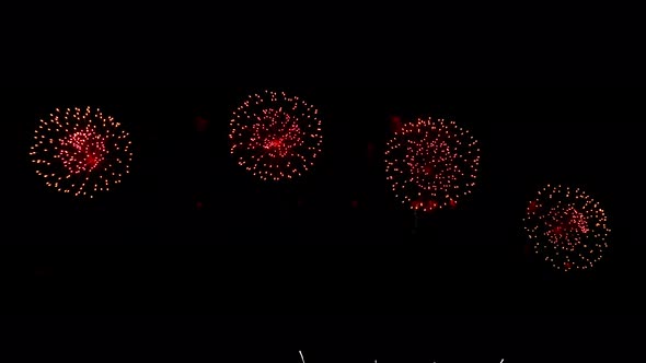 Many flashing colorful fireworks in event amazing with black background celebrate New Year.