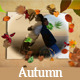 Slideshow Golden Autumn - VideoHive Item for Sale