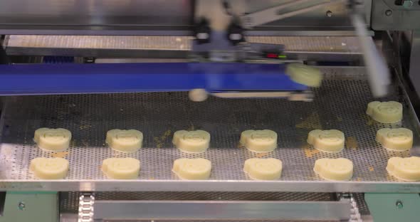 Cakes on Automatic Conveyor Belt  Process of Baking in Confectionery Factory