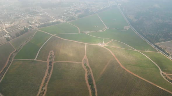 Aerial dolly out view of sections of a vineyard in the Leyda Valley, Chile on a foggy day.
