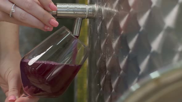 The Wine Sample is Poured Into a Red Wine Glass