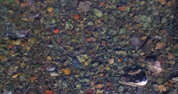 Low Altitude Flight Over Fresh Fast Mountain River with Rocks at Sunny Summer Morning