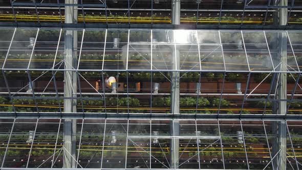 Greenhouse complex. View from above