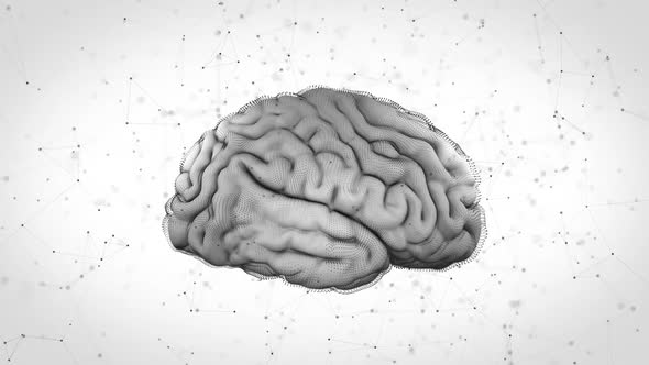 3d Render of Human Brain Rotating on the White Background with Digital Elements