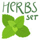 Herbs Set - GraphicRiver Item for Sale
