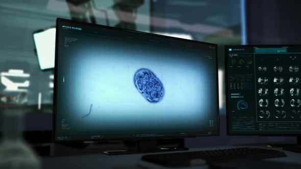 Bacteria Plasma Mitosis Process Studied By Scientific Research Microscope alt