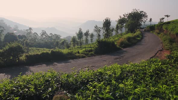 Landscape view of a vehicle on a country road through tea plantations, Munnar, India, at dusk