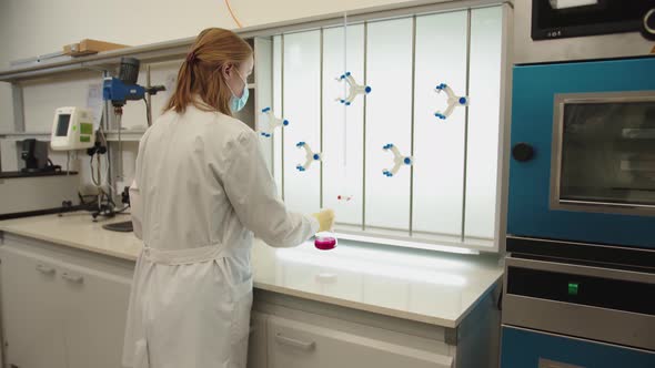 Chemical Worker in Medical Uniform Taking the Glass Bulb with Coloured Substance Getting It to Lab