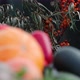 Sea Buckthorn and Pumpkins on the Market. - VideoHive Item for Sale