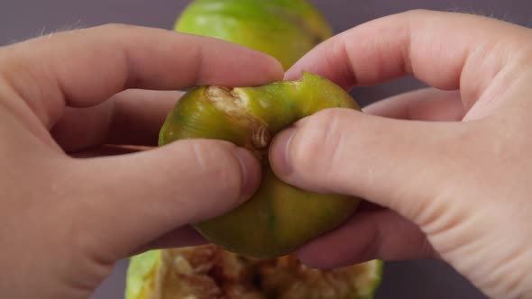 Hands Breaking Fresh Ripe Figs