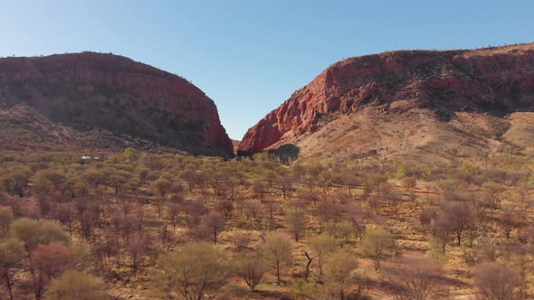 Aerial drone shot towards Simpsons Gap over trees, Central Australia