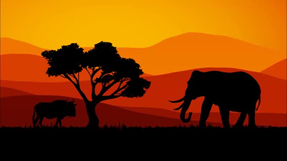 African Animals 4K